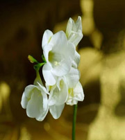 南阳十二生肖看看你的幸运数字是什么吧！