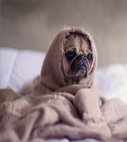 南阳有这样的手机号码，留不住钱，你中枪了吗？