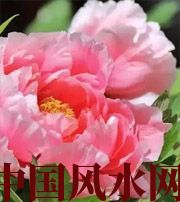 南阳预示你财运上升，姻缘可成的梦境，快来看看吧！