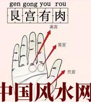 南阳这个地方肉越多，财运就越好