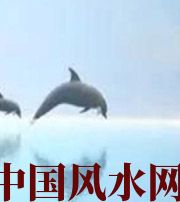 南阳做梦梦到这些，是要富裕的征兆！