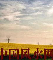 南阳风水知识：家里怎么布置财运更好？