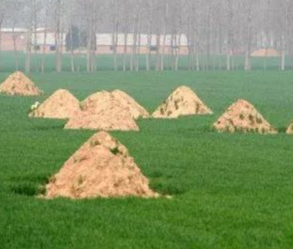 南阳阴宅风水：形峦三十六绝